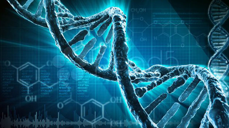 Dna. Il grande libro della vita da Mendel alla genomica