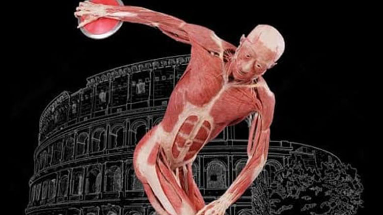 Real Bodies