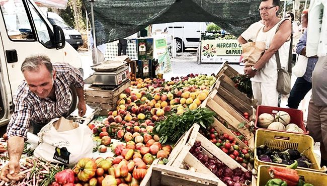 Mercato contadino dei castelli Romani in città