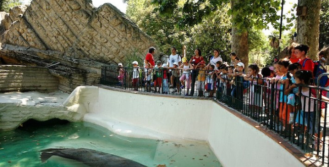 logo bioparco roma giardino zoologico